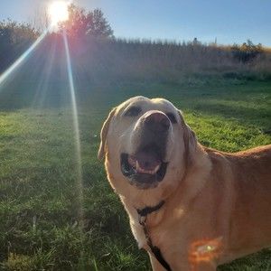 Meet your Posher, Kathleen